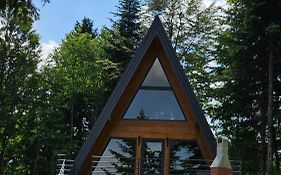 Gorska bajka - Borovica, planinska kuća za odmor i wellness